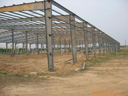 商河縣慶華蔬菜機(jī)械廠(chǎng)鋼結(jié)構(gòu)產(chǎn)品目錄 高效助推蔬菜產(chǎn)業(yè)發(fā)展